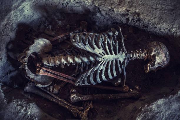 Anсient Gіant Horned Skeleton