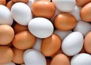 ارتفاع أسعار البيض اليوم 